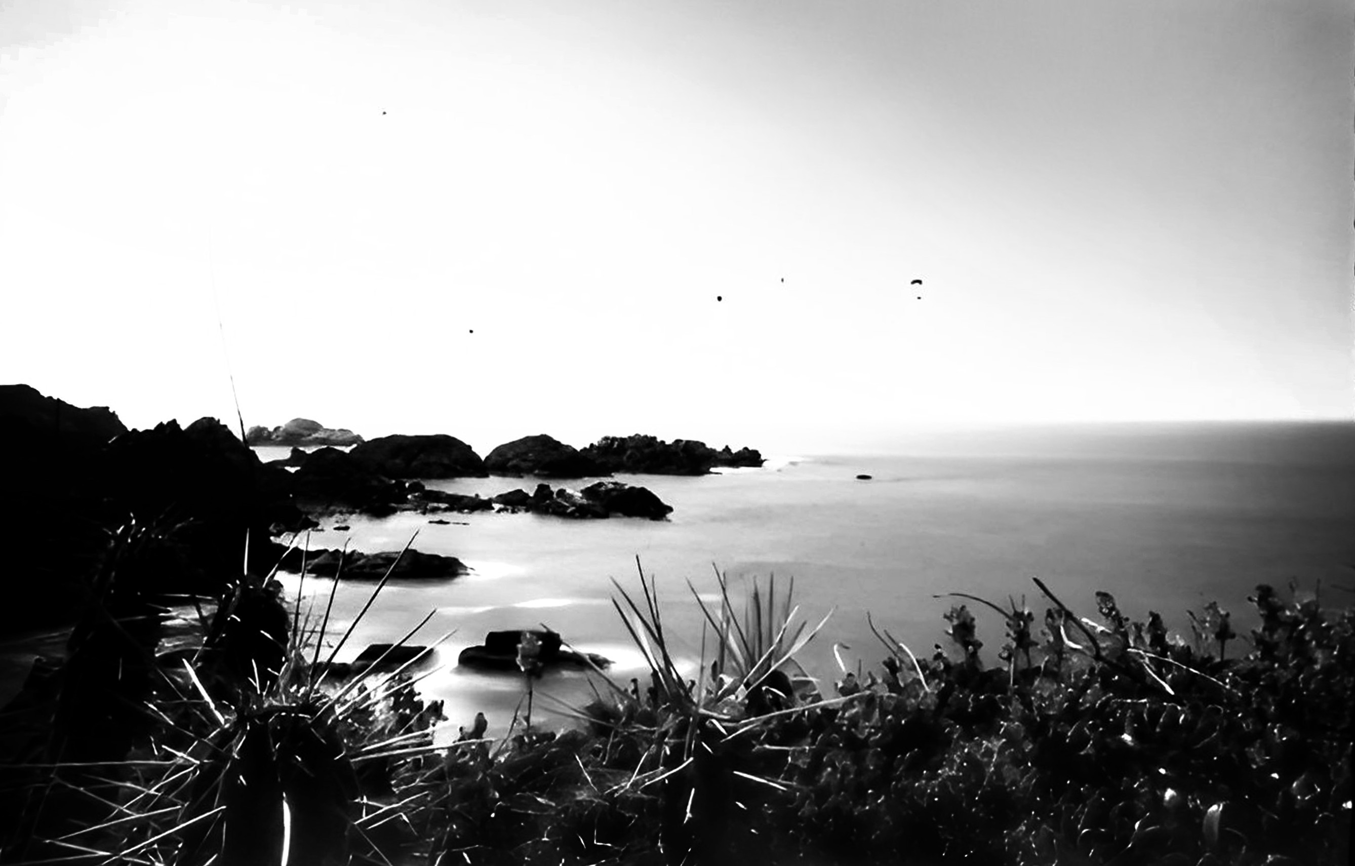 Imagen El filo de la costa